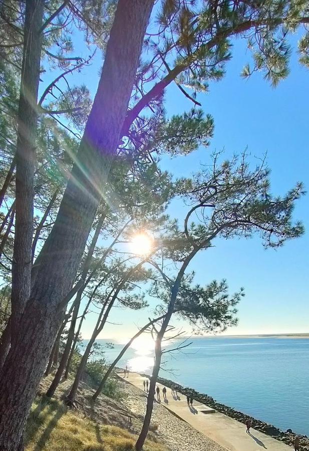La Cabane Boheme, Maison D'Hotes Bassin D'Arcachon Gujan-Mestras Εξωτερικό φωτογραφία
