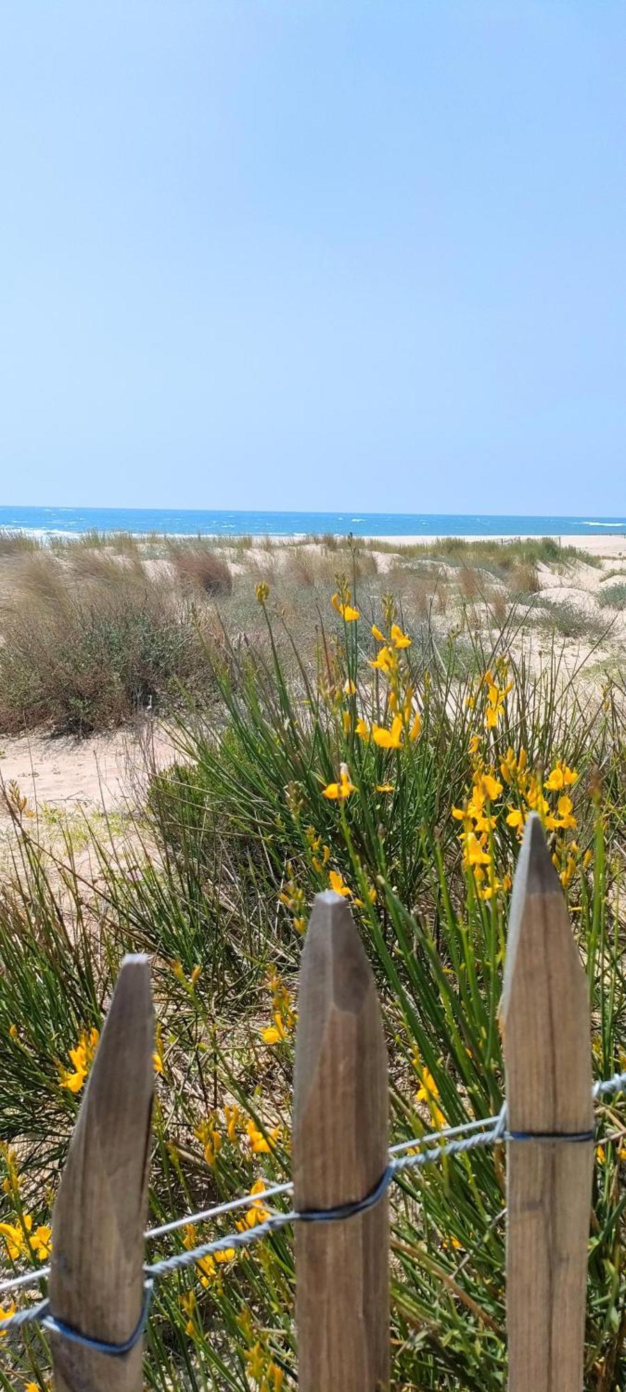 La Cabane Boheme, Maison D'Hotes Bassin D'Arcachon Gujan-Mestras Εξωτερικό φωτογραφία
