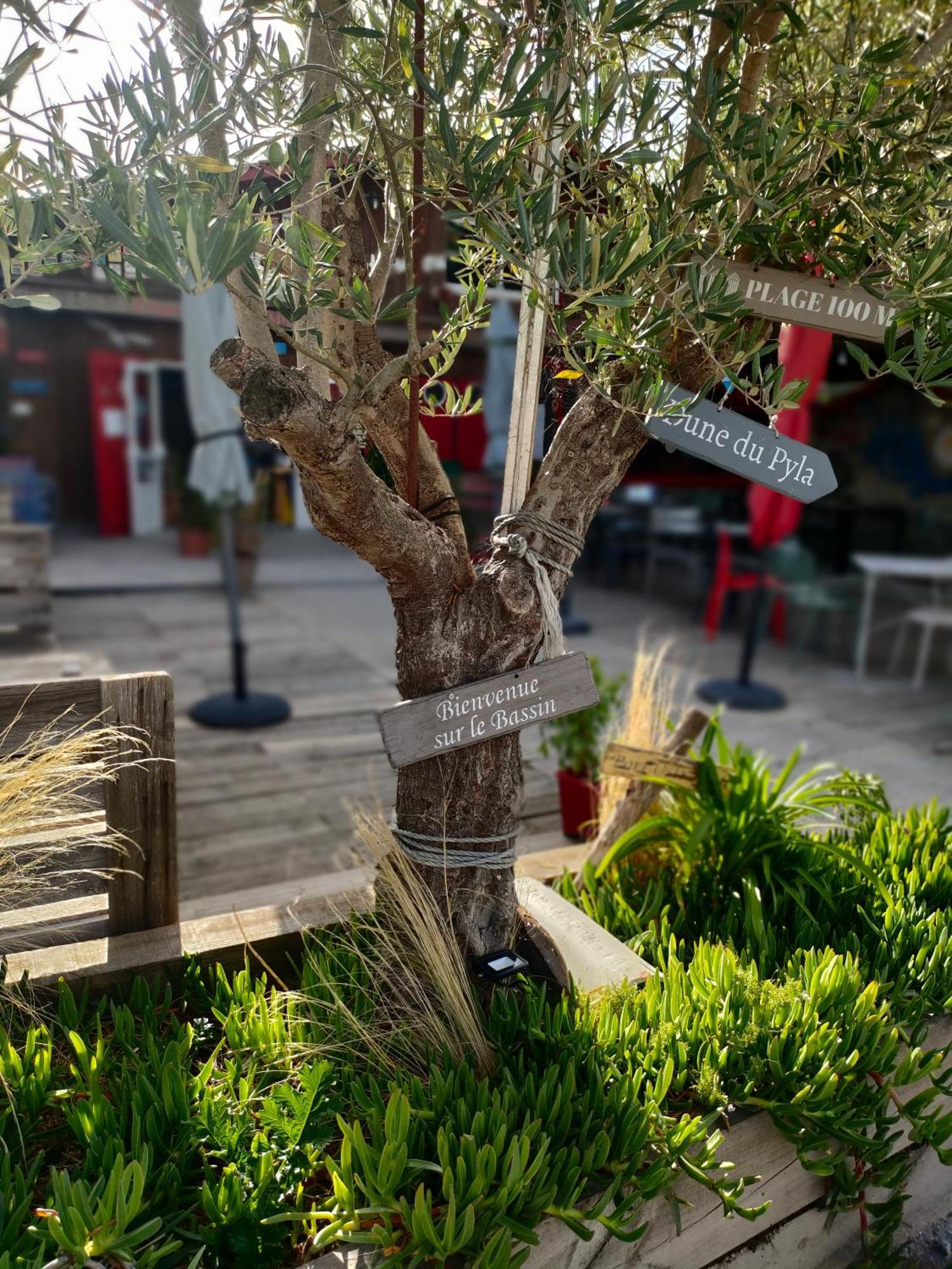 La Cabane Boheme, Maison D'Hotes Bassin D'Arcachon Gujan-Mestras Εξωτερικό φωτογραφία